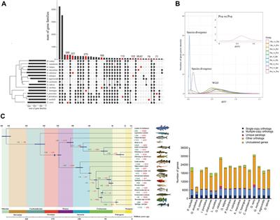 A high-quality chromosome-level genome assembly of Pelteobagrus vachelli provides insights into its environmental adaptation and population history